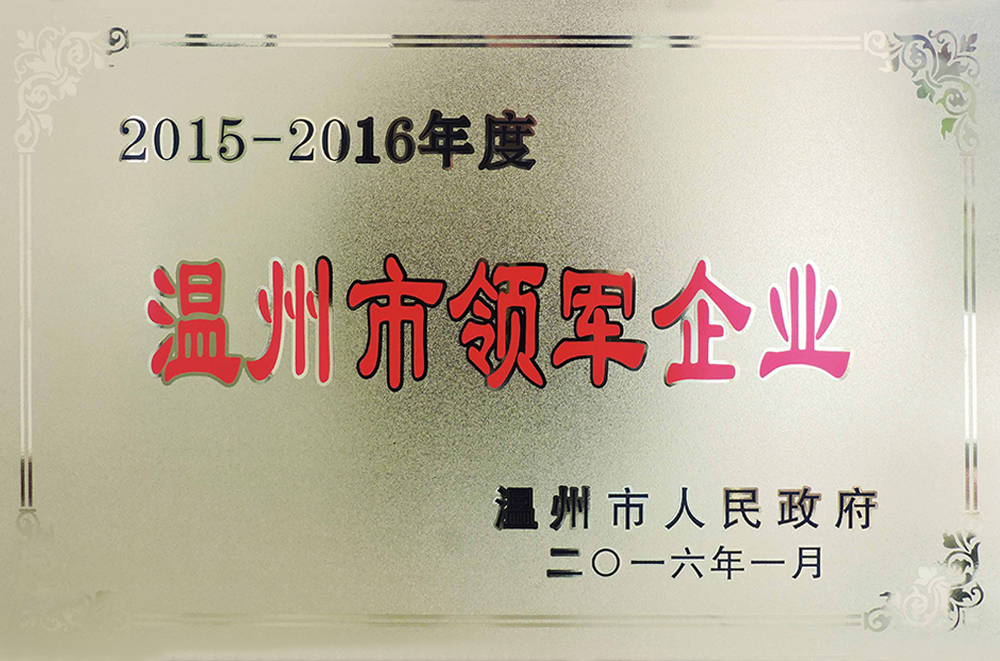 2015-2016年度温州市领军企业