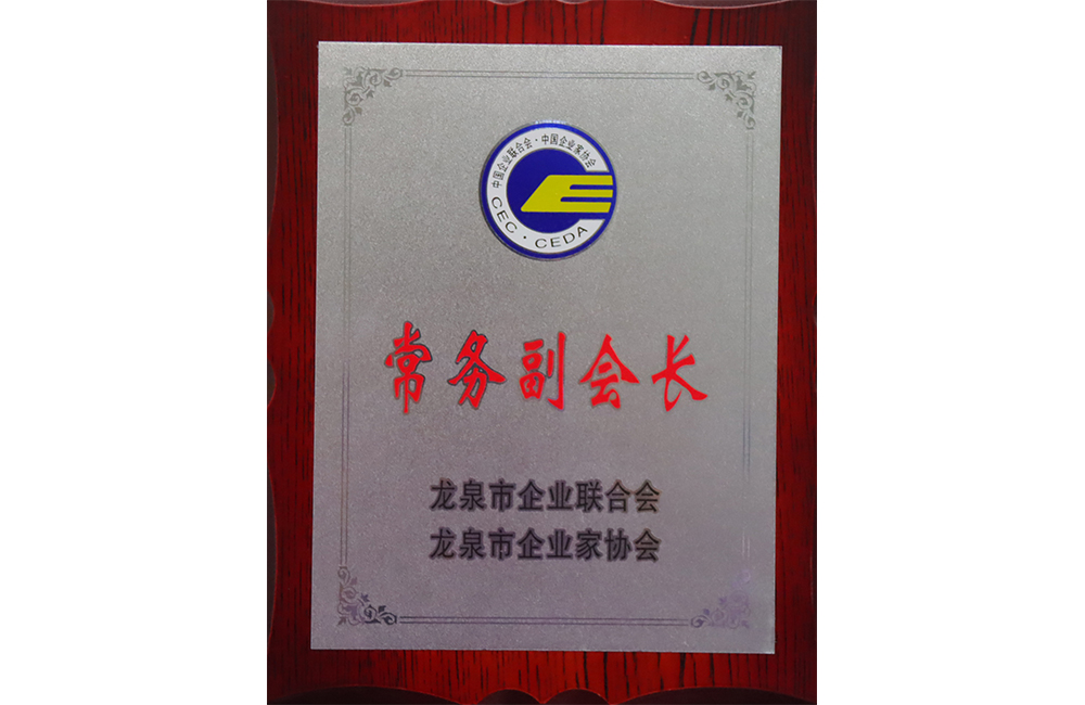 Vice Chairman of the Standing Committee of the Longquan Enterprise Federation
