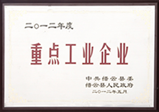 2012年度重點工業企業