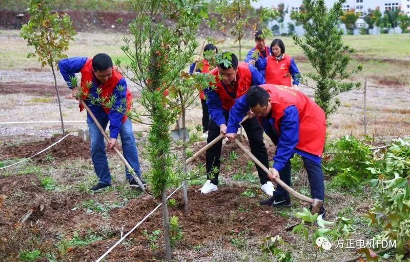 游艇会电机党支部植树活动