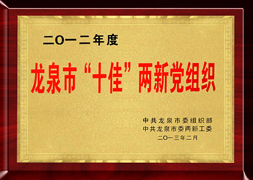 龍泉市“十佳”兩新黨組織