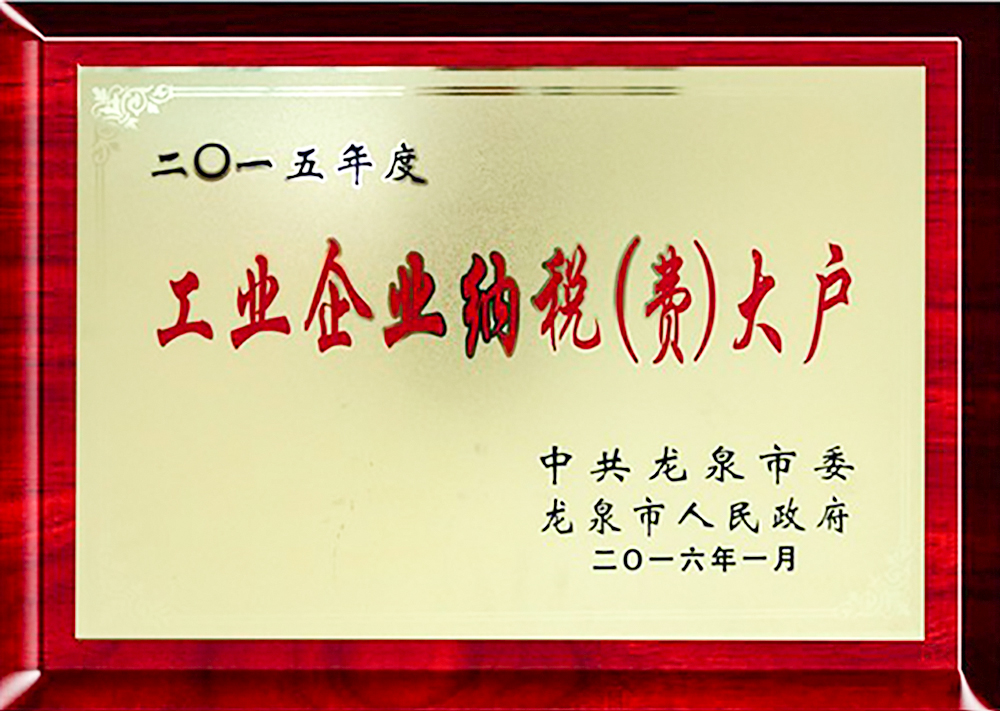 2015年度工業企業納稅（費）大戶