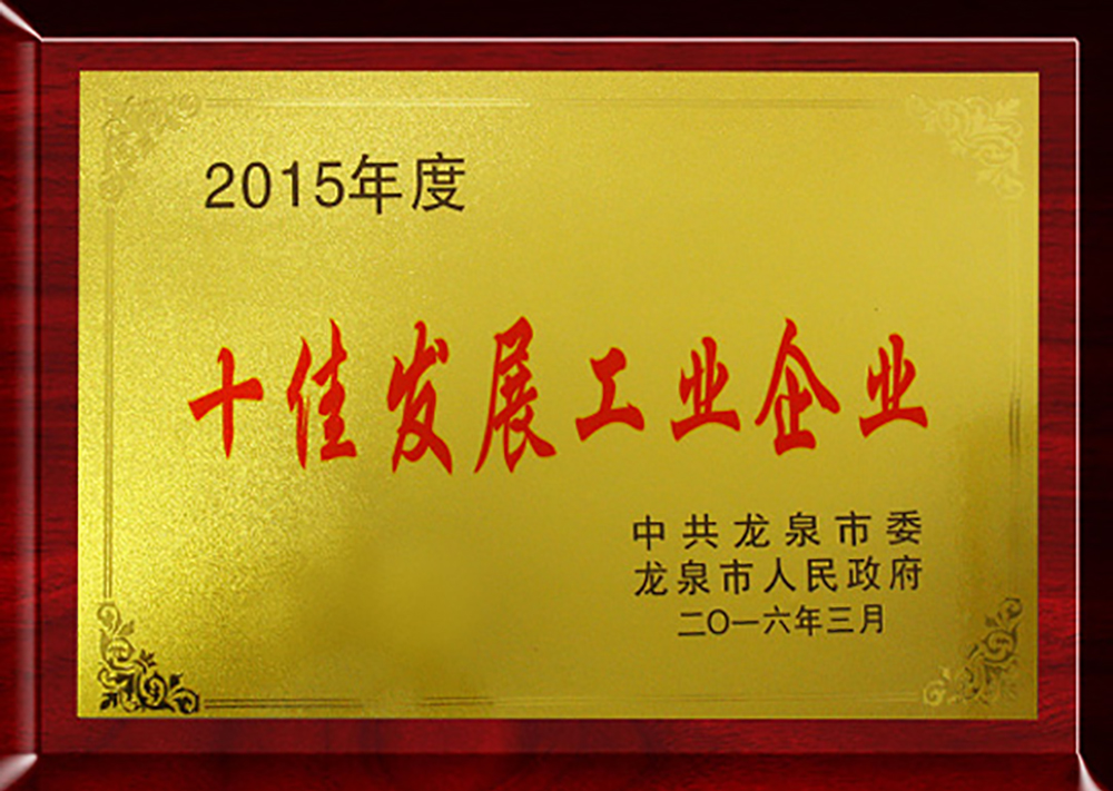 2015年度十佳發(fā)展工業(yè)企業(yè)