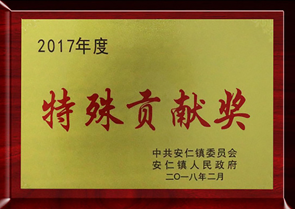 2017年度特殊貢獻(xiàn)獎(jiǎng)