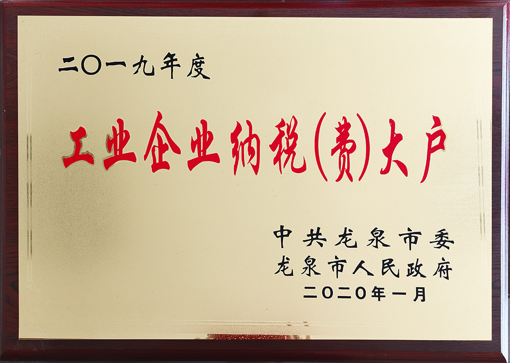 2019年度工業(yè)企業(yè)納稅（費）大戶