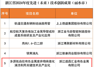 再創(chuàng)佳績(jī)！遂昌匯金一項(xiàng)目入選浙江省2024年度先進(jìn)（未來(lái)）技術(shù)創(chuàng)新成果