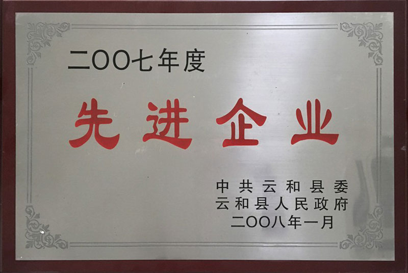 2007年度先進(jìn)企業(yè)