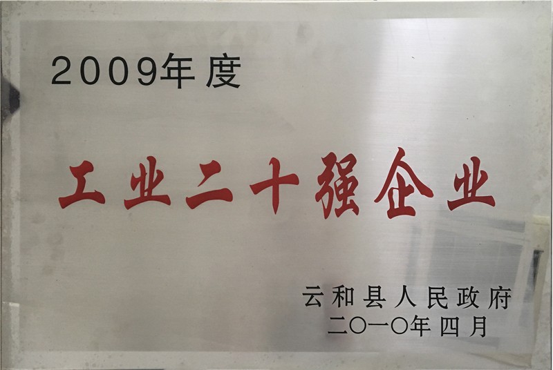 2009年度工業(yè)二十強(qiáng)企業(yè)