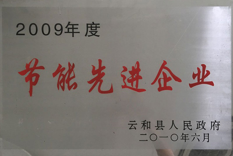 2009年度節(jié)能先進(jìn)企業(yè)