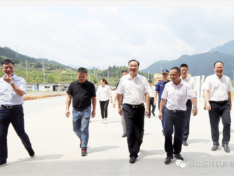 Wu Songping, Secretary of the Municipal Party Committee, visited the company to investigate safety production