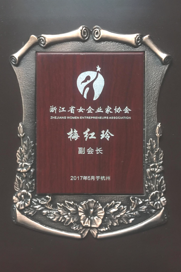 2017女企业家协会副会长