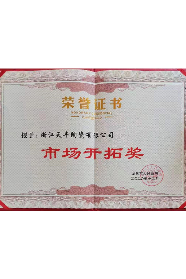 2020年市场开拓奖
