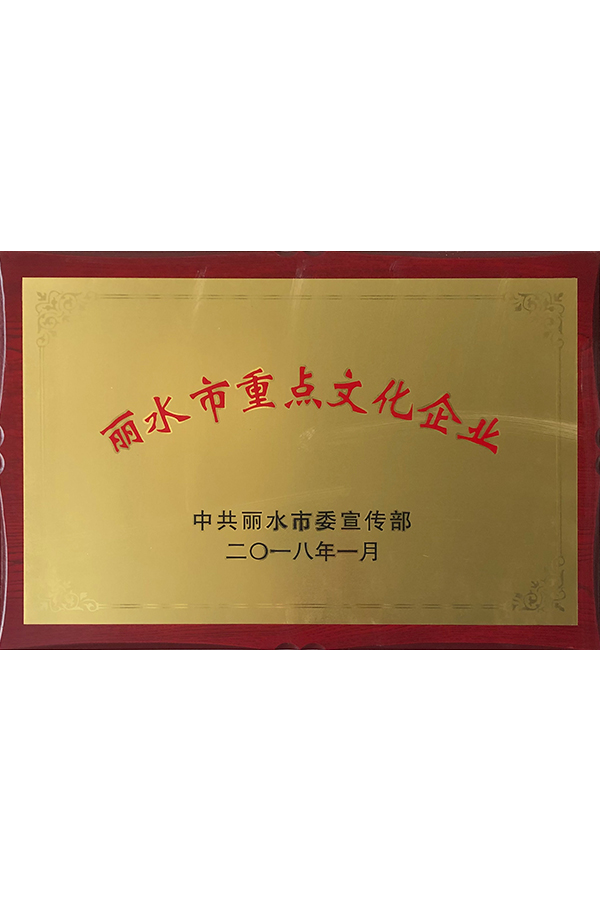 2018年丽水市重点文化企业